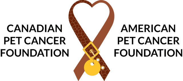 Pet Cancer Foundation - Canada & Usa